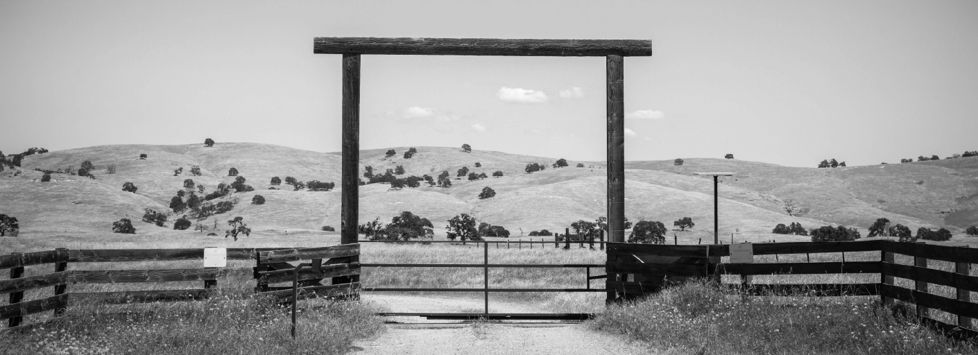 Adobe Stock 266779083 GREY 72ppi