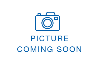 Placeholder Team Member Image