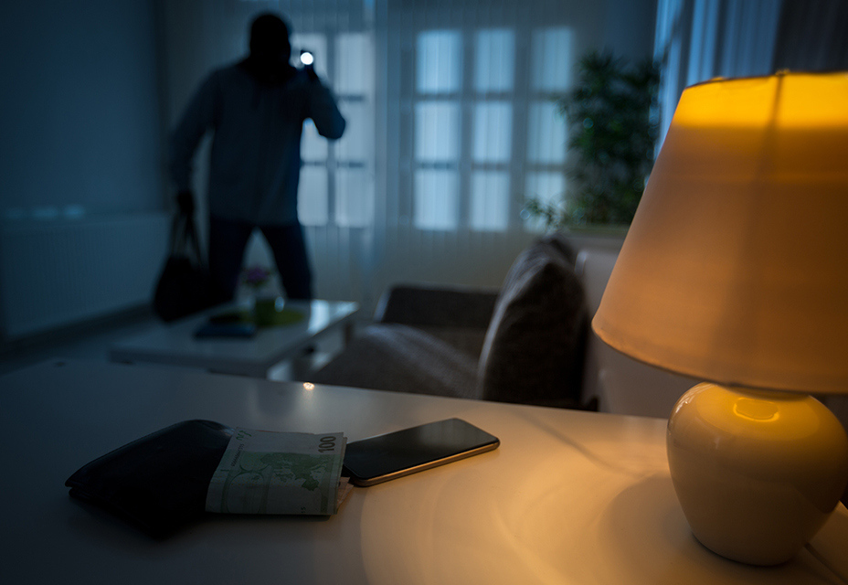 Optex intrusion detectors indoor night