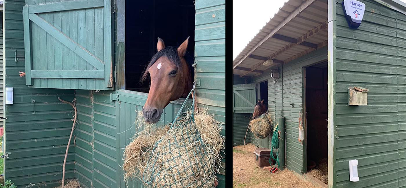 Optex intrusion detector wxi harper security stables 1 2