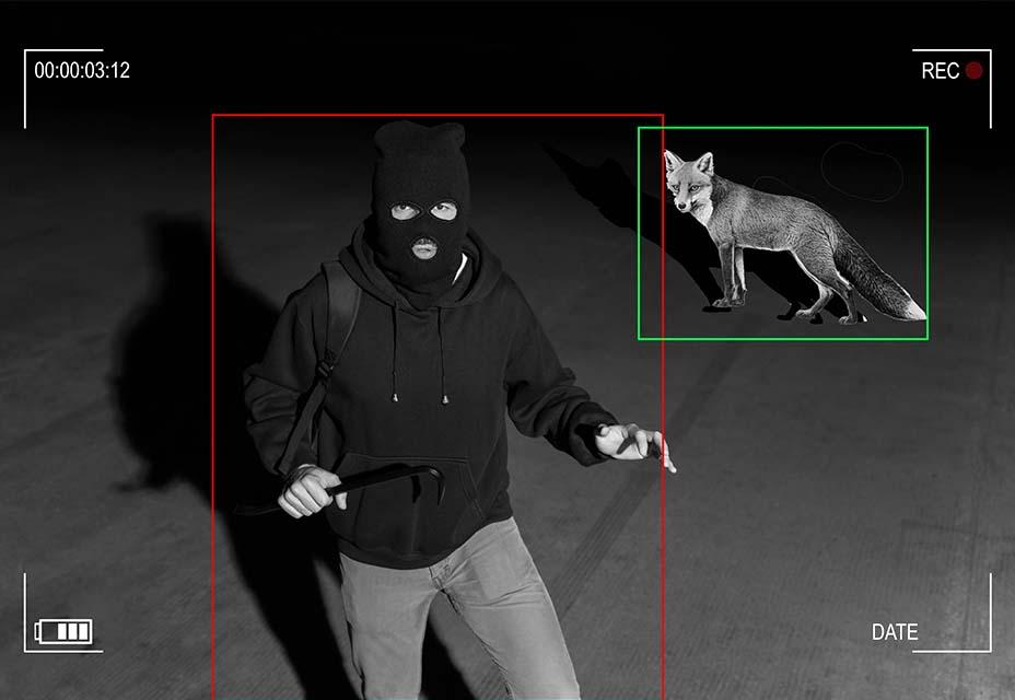 Optex video and sensor categorisation