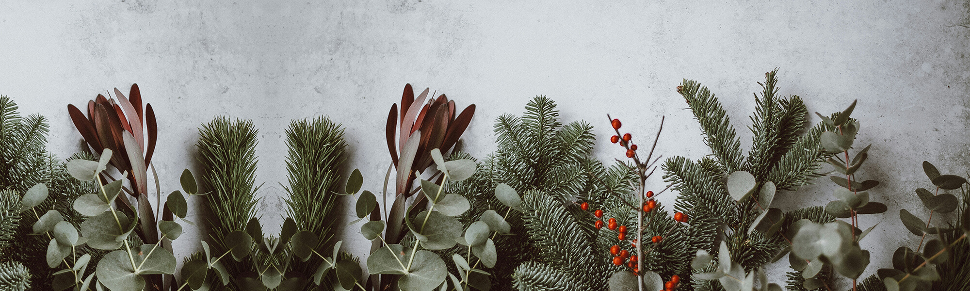 Optex christmas greeting banner