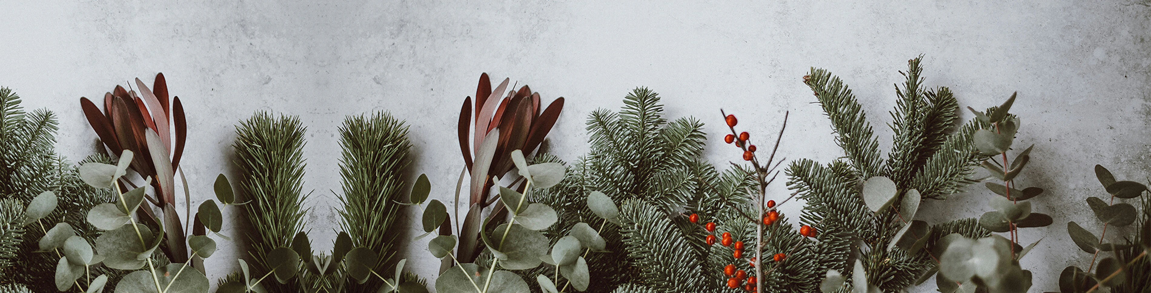 Optex christmas greeting banner