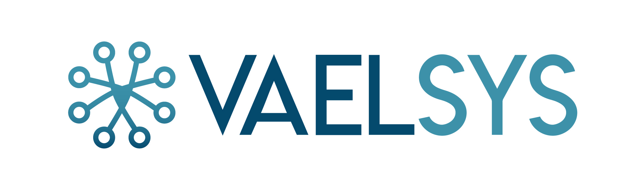 Vaelsys Color Horizontal