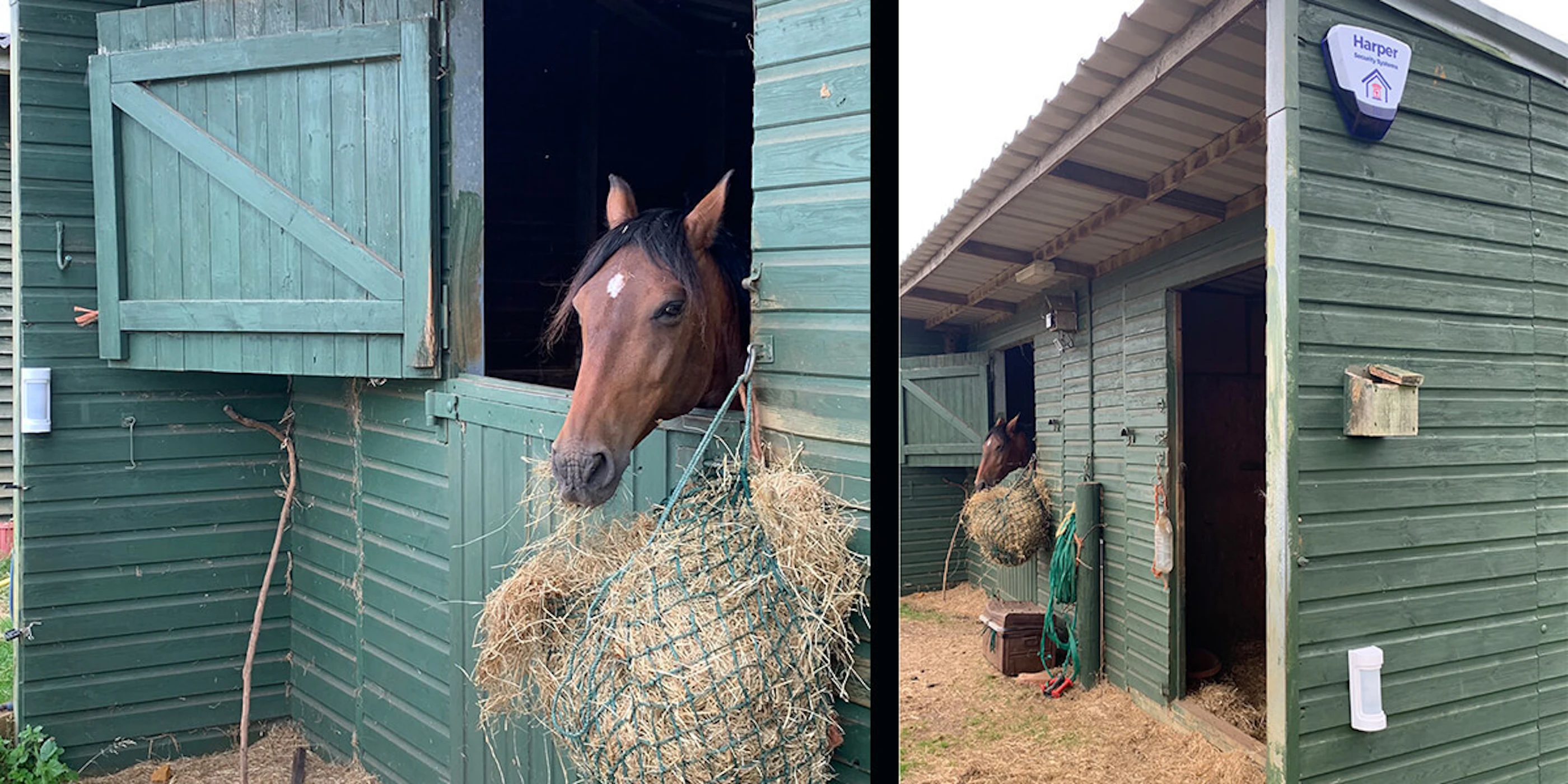 Optex intrusion detector wxi harper security stables 1 2