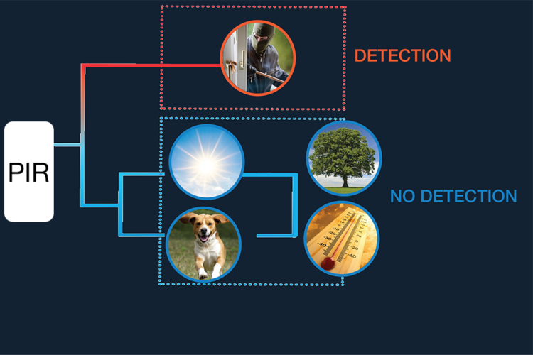 What makes a good pir smda 1pl